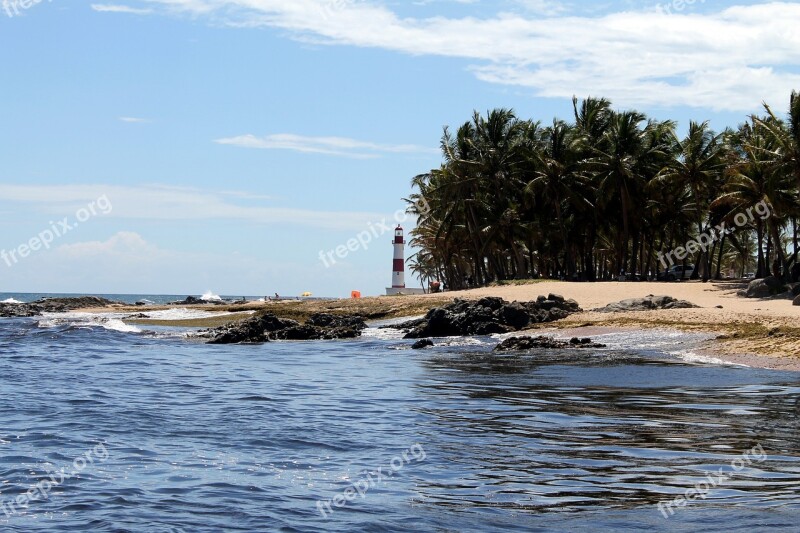 Lighthouse Landscape Beach Itapoá Salvador