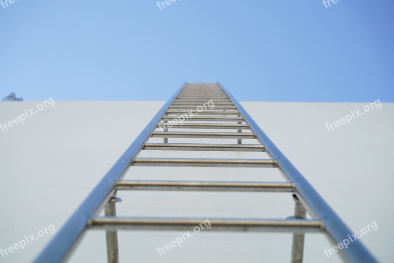 Ladder The Rooftop Vertical Stainless Free Photos