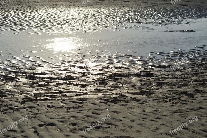 Beach Sea Pier Water Sand