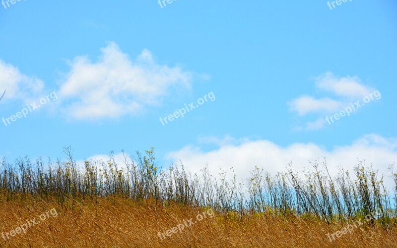 Sky Clouds San Francisco Bay Blue Weather