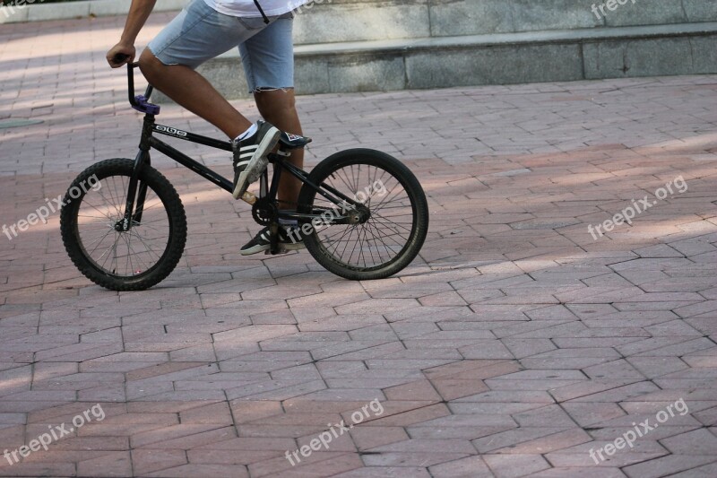 Skate Skateboard Extreme Skater Young