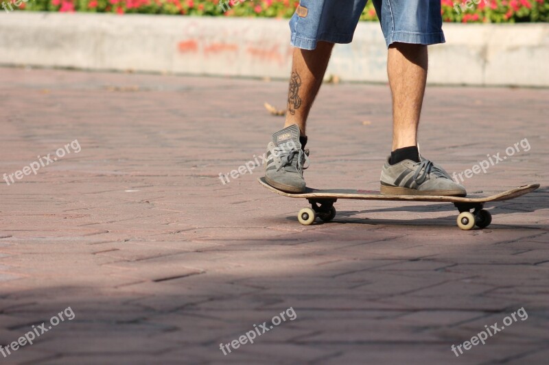 Skate Skateboard Extreme Sports Young