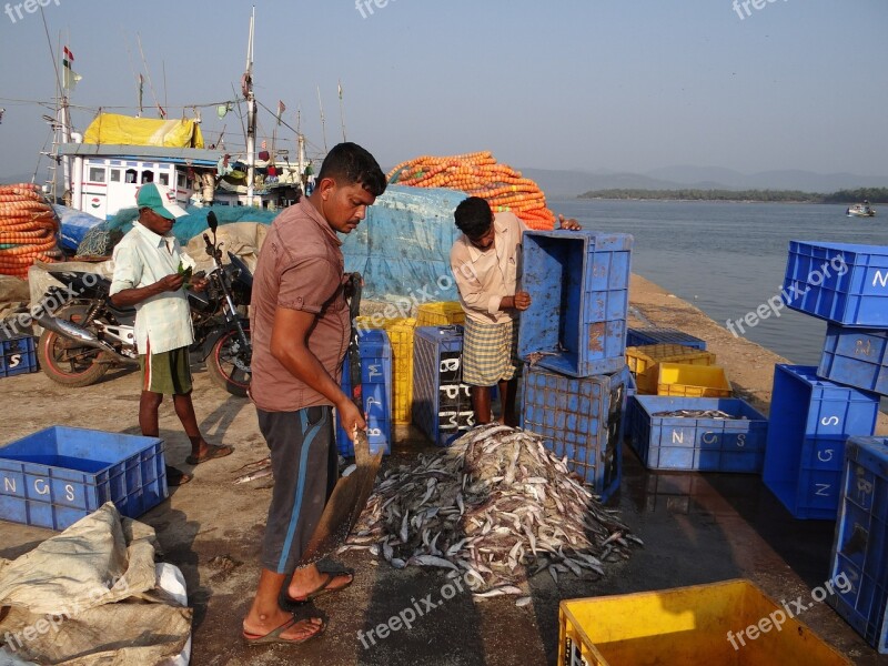 Fishing Harbour Catch River Estuary