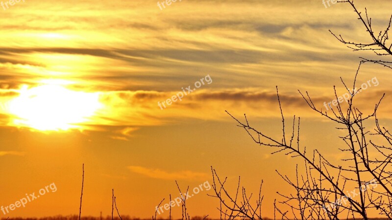 Summer Sunset Yellow Day S Free Photos