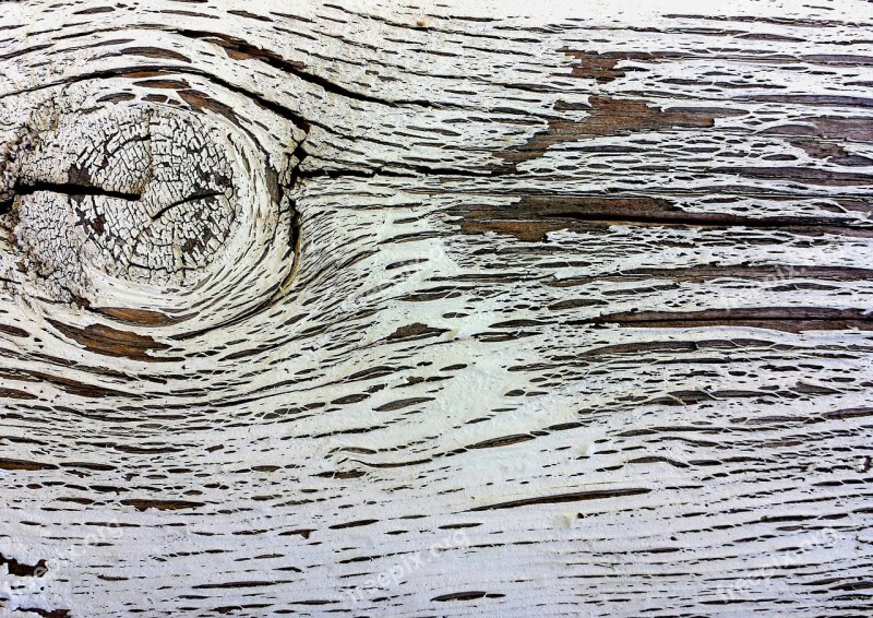 Wood Old Wood Knot Texture Pattern