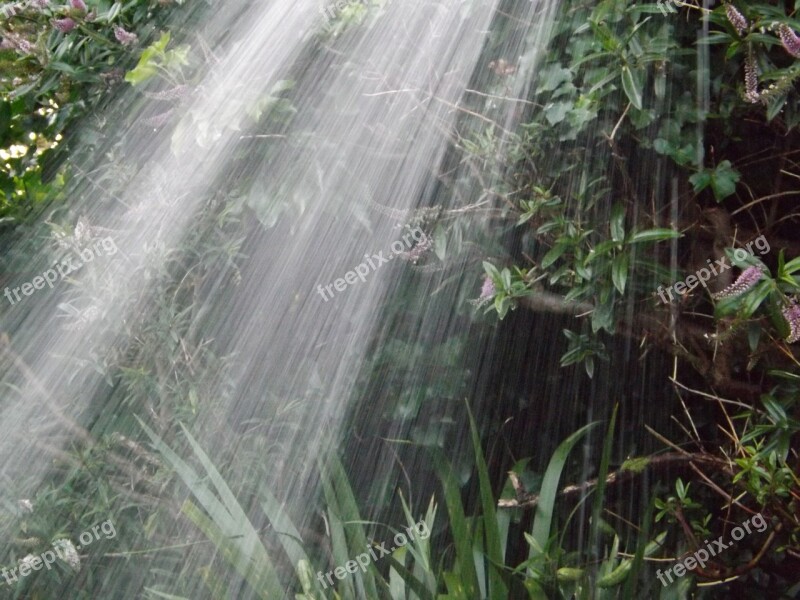 Garden Raining Water Hose Wet