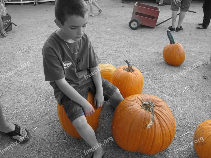 Boy Halloween October Fun Child