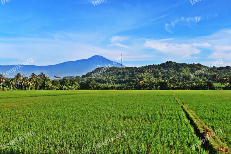 Mount Field View Nature Cloud