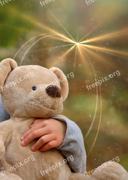 Teddy Bear Furry Teddy Bear Hand Light Ray Of Light