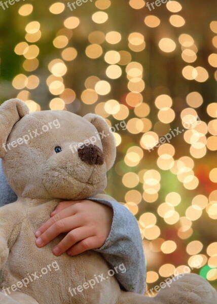 Teddy Bear Furry Teddy Bear Teddy Bear Bokeh