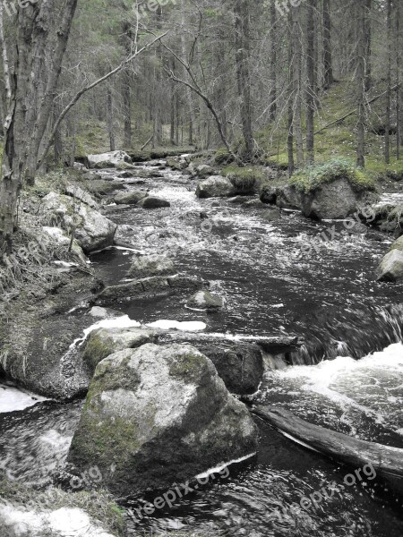 The Creek Landscape Flow Free Photos