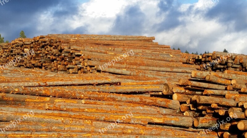 Lumber Sky Wood Pile Timber