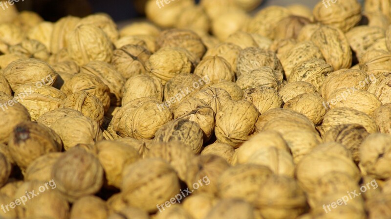 Nuts Walnut Fruit Market Shells