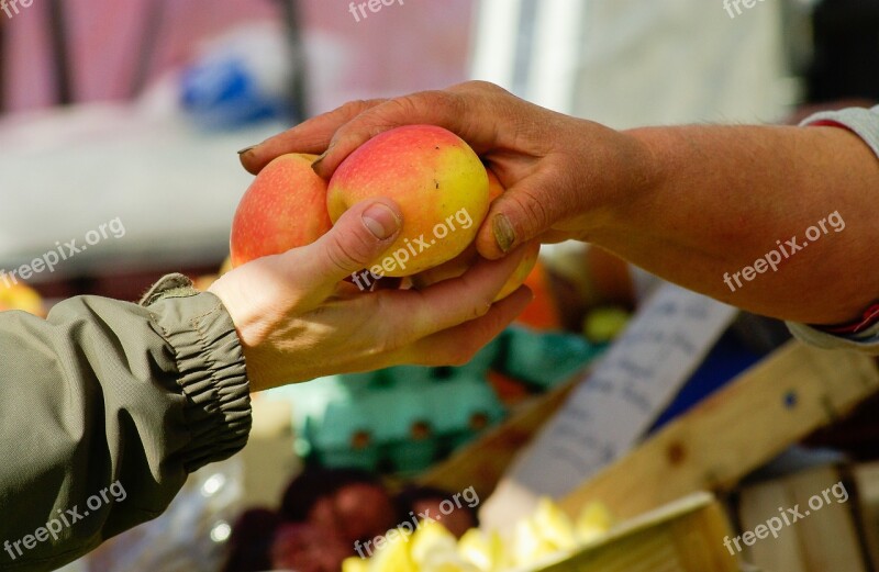 Apples Market Saleswoman Buyer Hands