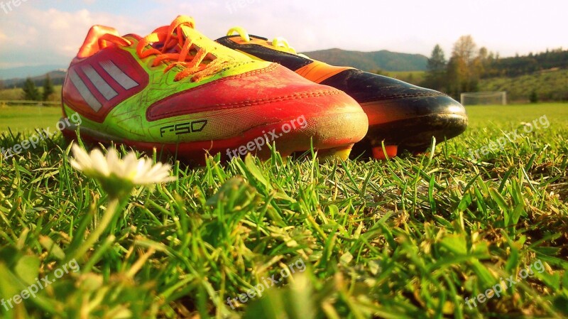 Football Soccer Shoes Course F50 Grass