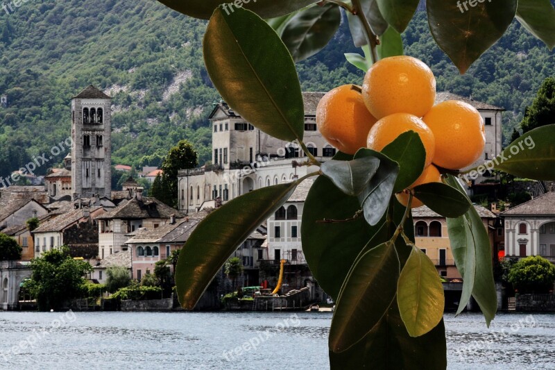 Sun Fruits Tangerines Oranges Lago Maggiore