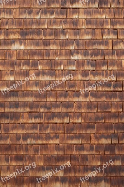 Wood Texture Wall Tiling Grain Structure