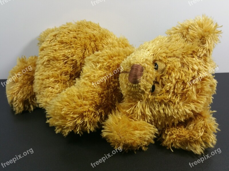 Teddy Bear Toys Children Teddy Bear