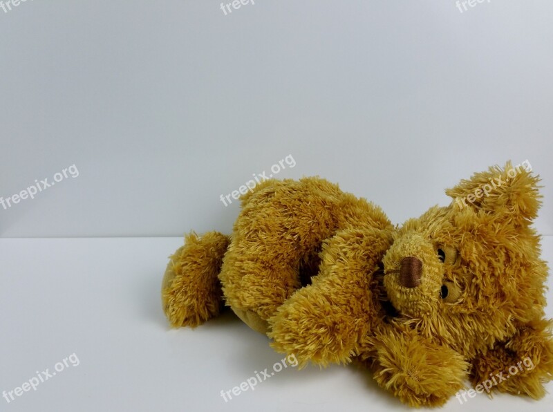 Teddy Bear Teddy Bear Toys Children