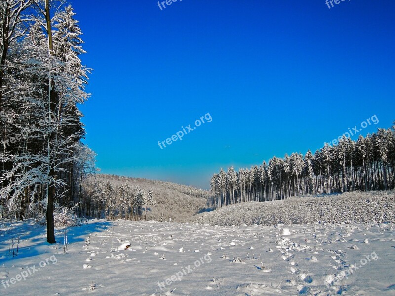 Winter Panorama Snow White Blue