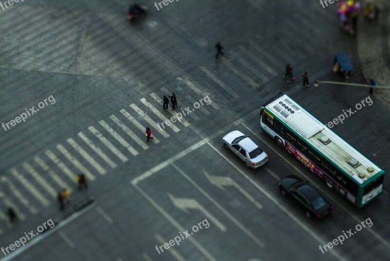 Zebra Crossing Shift Documentary Street View