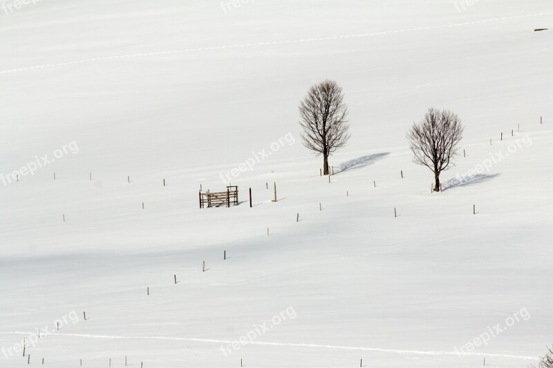 Black Forest Winter Snow Landscape Nature