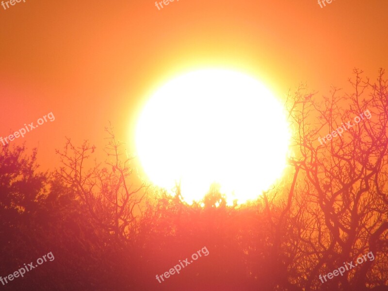 Sun Ball Summer Sky Nature