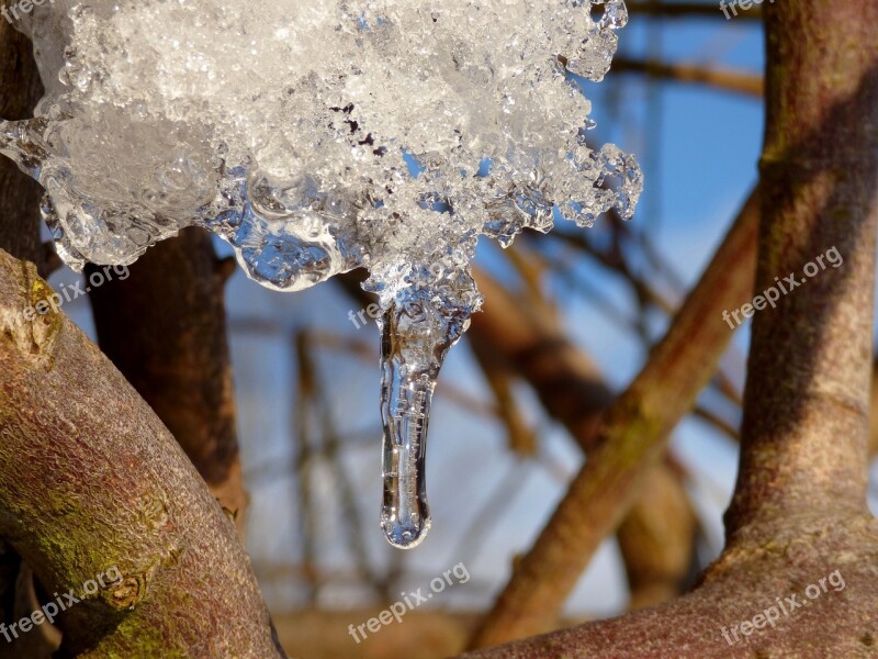 Icicle Ice Melt Cold February