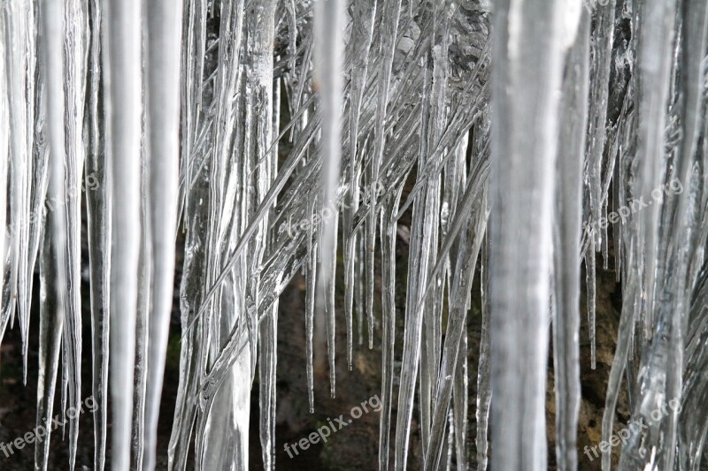 Ice Icicle Cold Snow Frozen