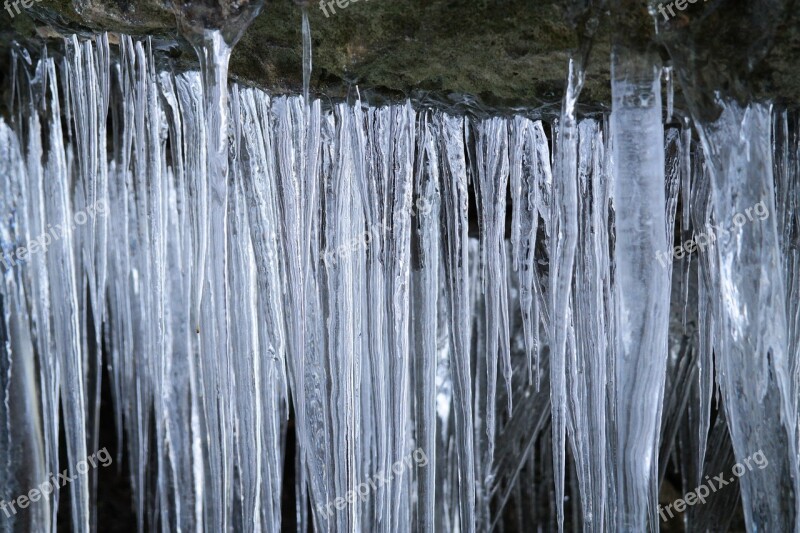 Ice Icicle Cold Snow Frozen