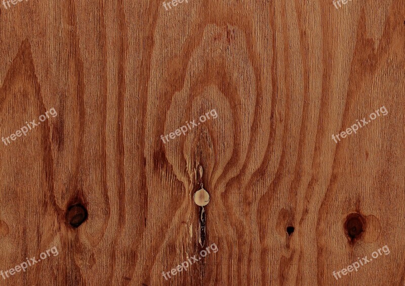 Wood Pattern Background Texture Structure