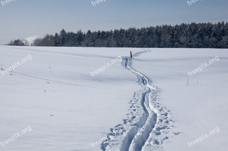 Trace Cross Country Skiing Ski Track Sticks Snowy