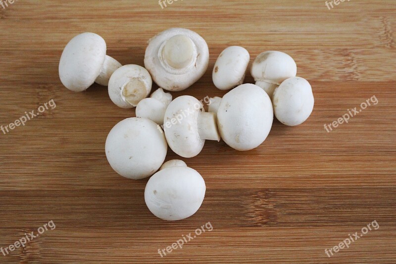 Mushroom Mushrooms White Mushroom Free Photos