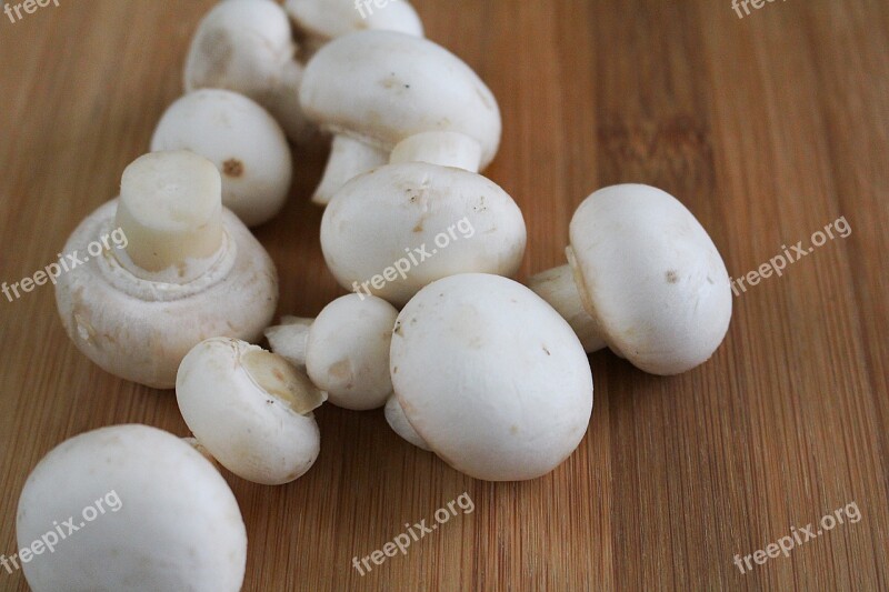 Mushroom Mushrooms White Mushroom Free Photos