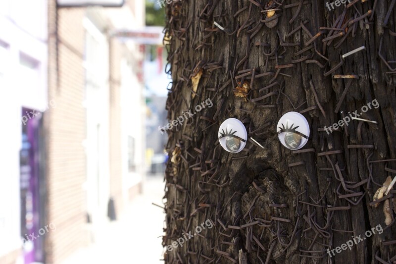 Wiggle Eyes Old Telephone Pole Staples Free Photos