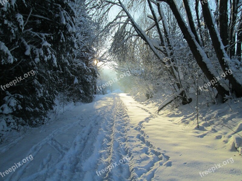 January Winter Way Allgäu Winter Free Photos