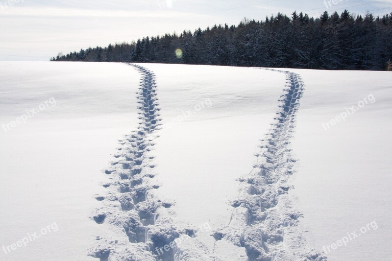 Trace Footprint Sticks Snowy Snow Lane