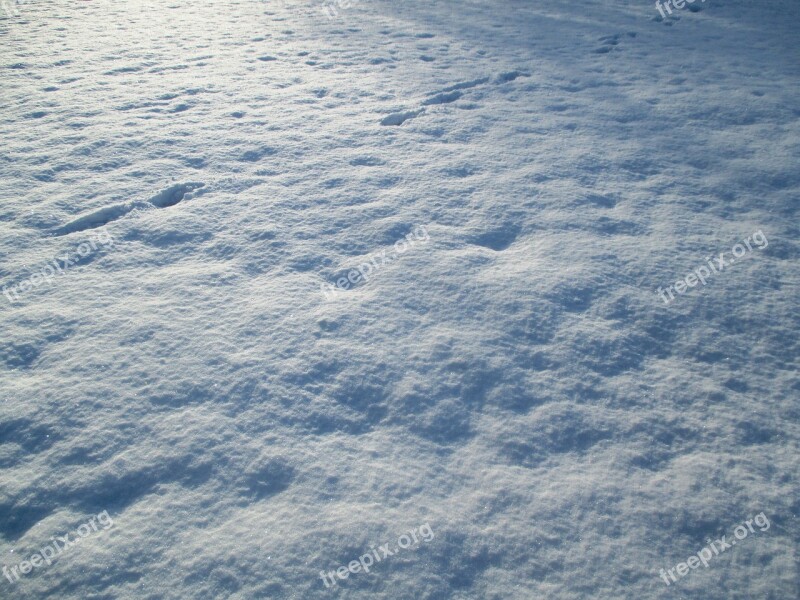 Winter Snow Sparkle White Backlighting