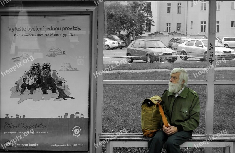 Old Man Bus Stop Black And White Free Photos