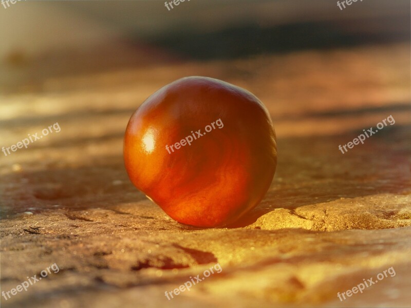 Chestnut Ground Stone Floor Lighting Sunlight