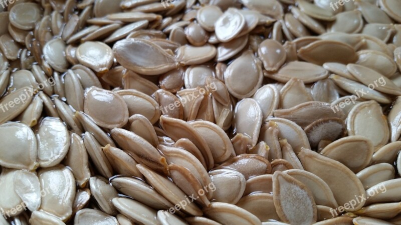 Pumpkin Seeds Pumpkin Seeds Healthy Food