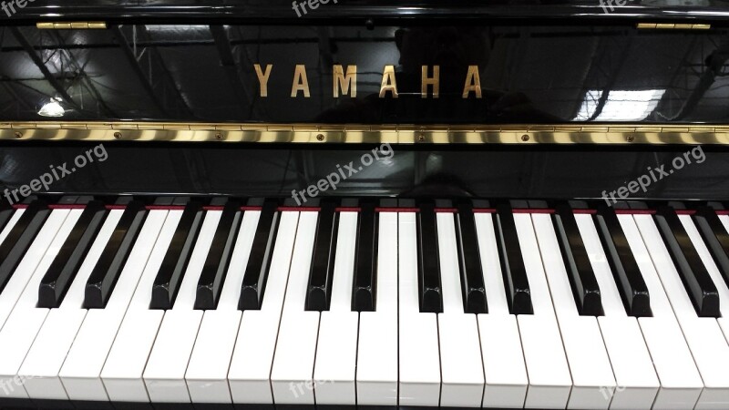 Piano Keyboard Music Musical Instrument