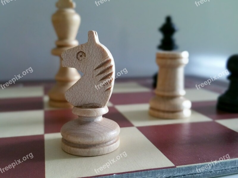 Chess Wooden Figures Game Characters Gesellschaftsspiel Strategy