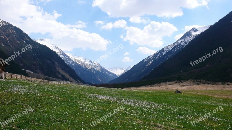 Alpine Landscape Mountains Meadow Peak