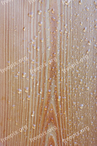 Wood Drip Rain Drop Of Water Nature