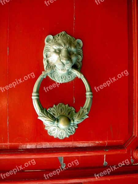 Lion Dies Knocker Malta Free Photos