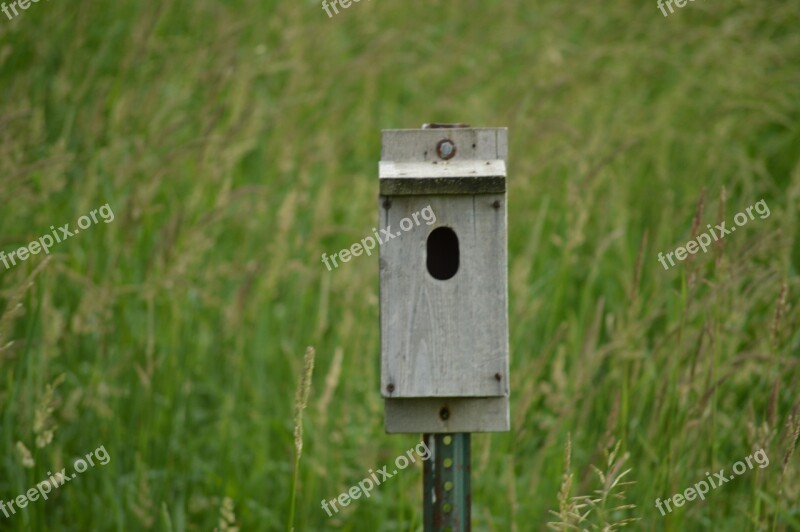 Birdhouse Field Nature Wooden Wood