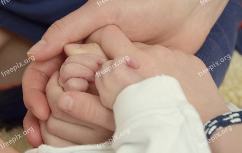 Hands Together Tender Protected Family