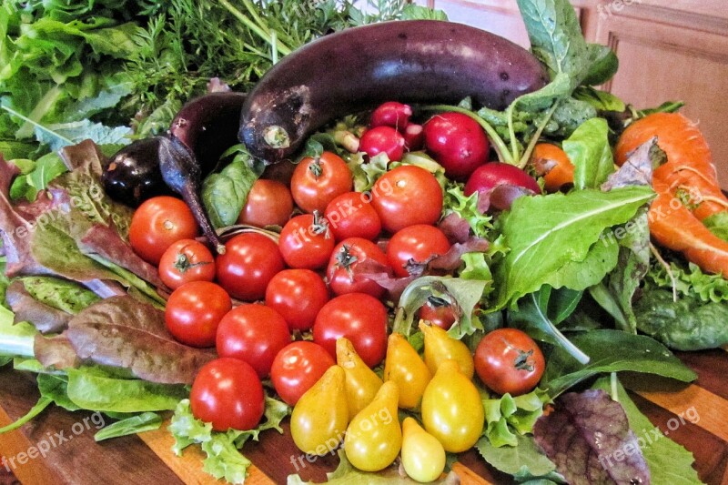 Vegetable Farmer Fresh Eggplant Food