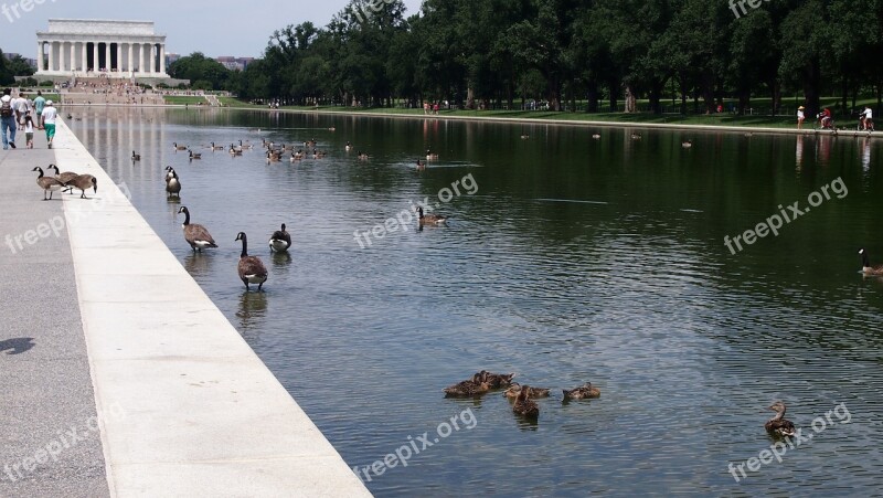 Lincoln Memorial Usa Washington Seat Of Government Free Photos